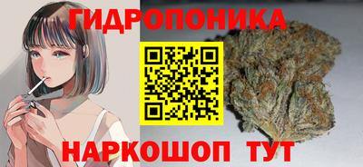 соль ск Новодвинск