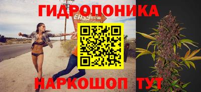 гашик Обь