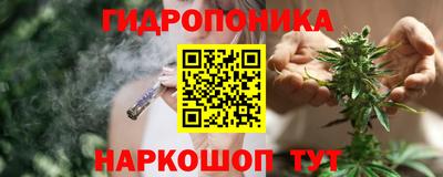 соль ск Новодвинск