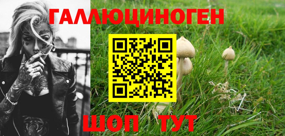 Галлюциногенные грибы MAGIC MUSHROOMS Сердобск