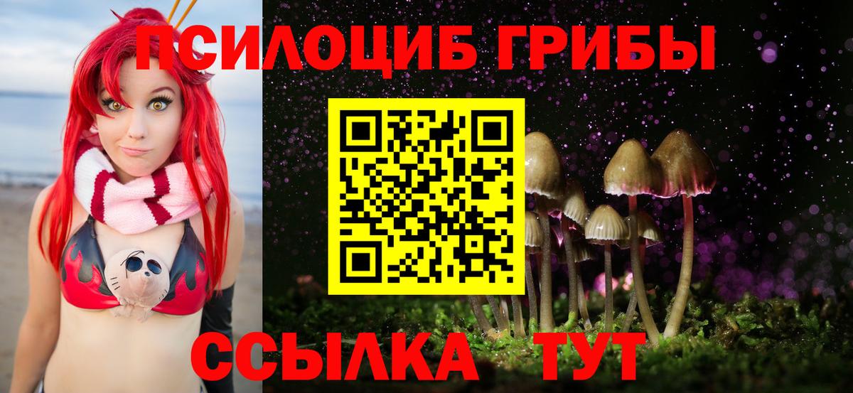 Сердобск  Псилоцибиновые грибы Cubensis  Вход с VPN 